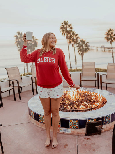 Sleigh Long Sleeve Top by Z Supply