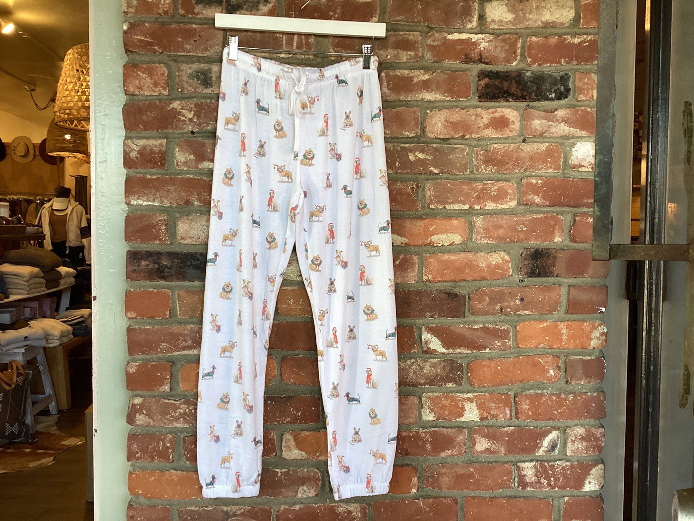 Classic Pup Jogger BY Z SUPPLY