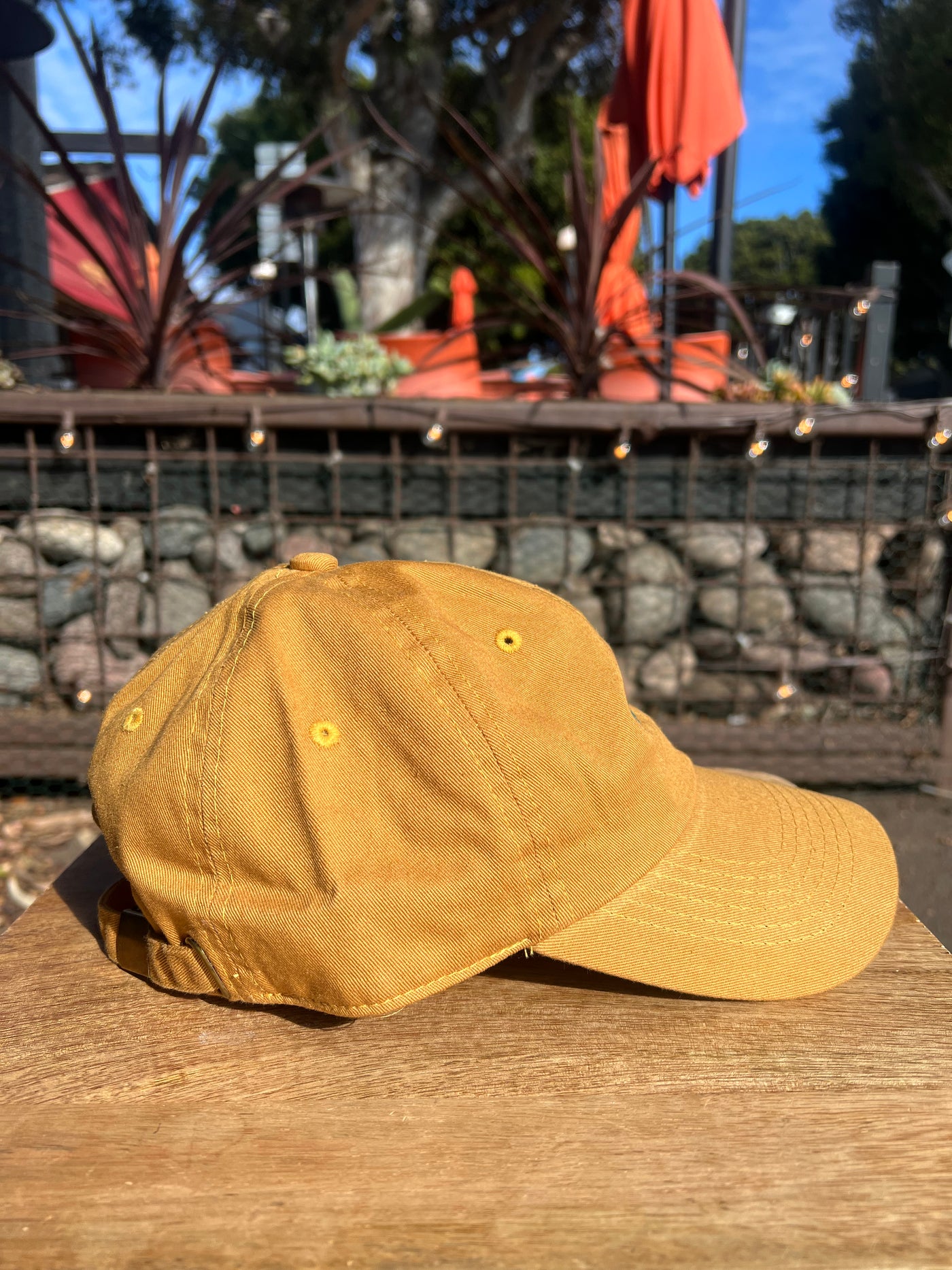 Carlsbad Baseball Cap by 75