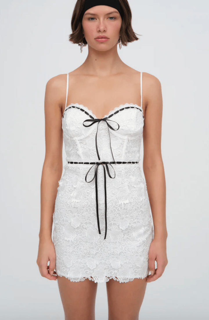 laubeblanc Pin-tuck Lace Mini Dress ⋈﻿ Pin-tuck Lace Mini Dress – L'AUBE BLANC