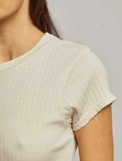 ETTA//VARIEGATED RIB BABY TEE by Perfect White Tee