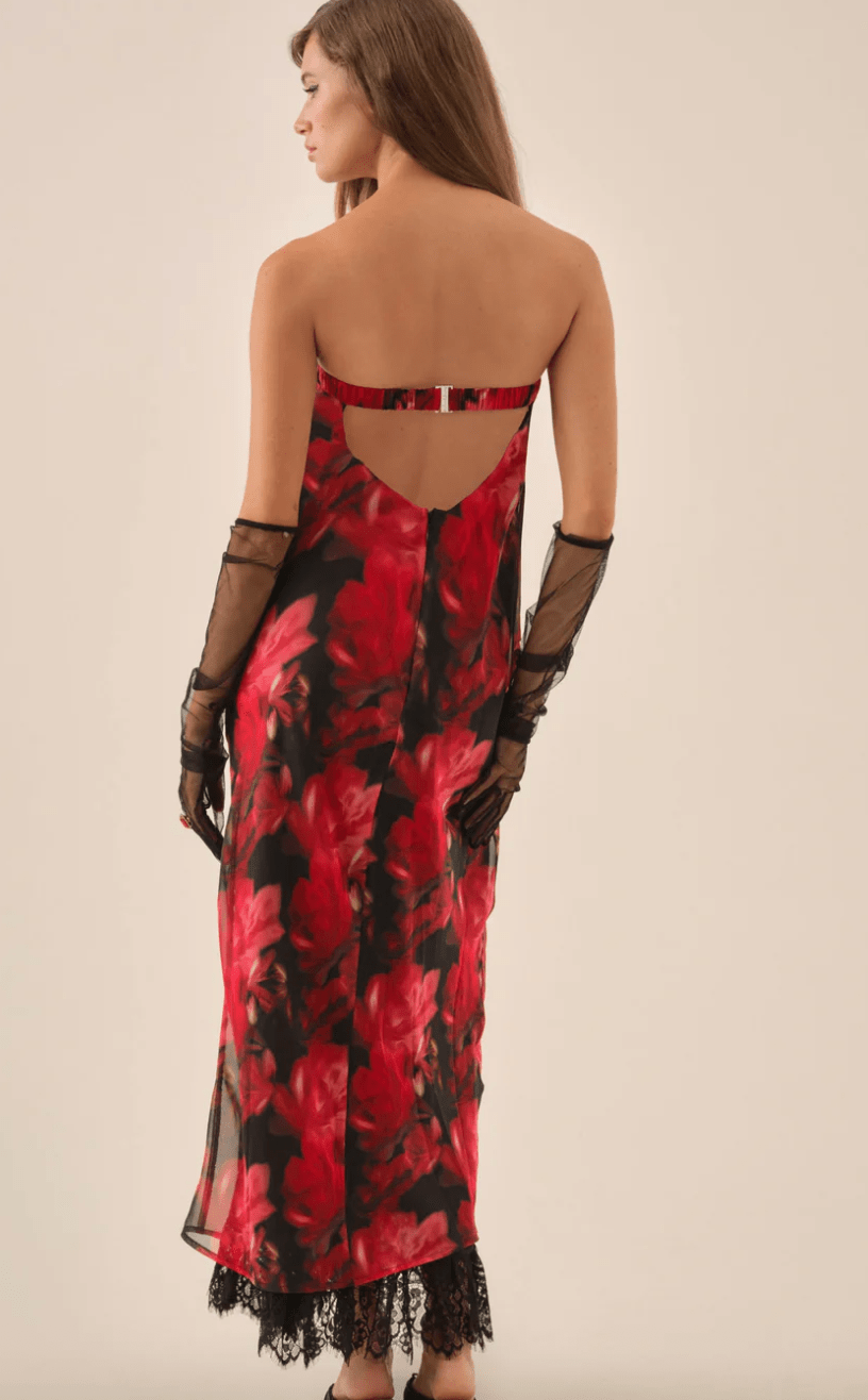 Dark Romance Maxi Dress BY FOR LOVE AND LEMONS