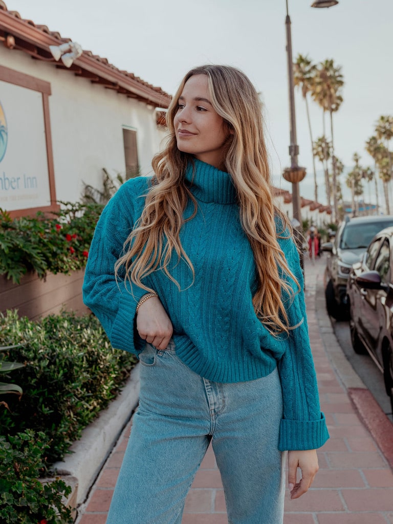 BRAID KNIT TURTLENECK CROPPED SWEATER TOP