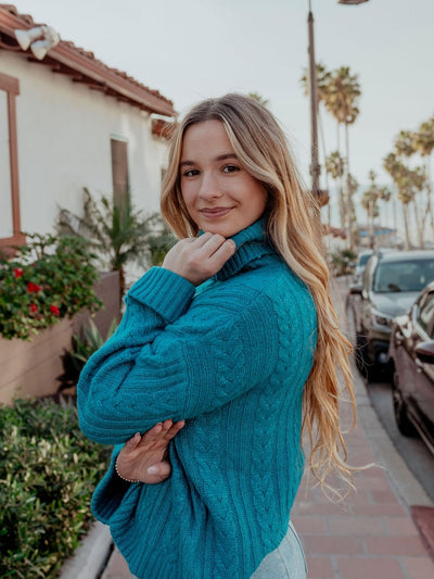 BRAID KNIT TURTLENECK CROPPED SWEATER TOP